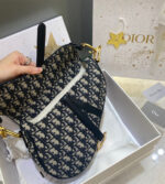 dior saddle bag counter edition (4)